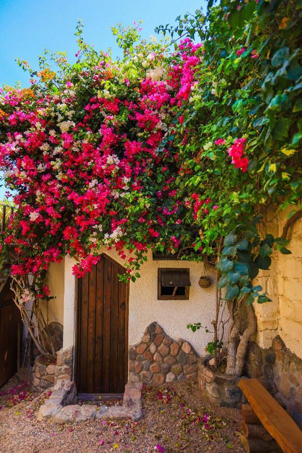 Beit Theresa Dahab Exterior foto